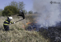 Рятувальники ліквідували 12 пожеж в природних екосистемах