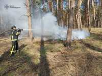 Куп’янський район: ворожі снаряди спричинили лісову пожежу