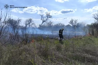 На Дніпропетровщині протягом доби вогнеборці ліквідували 26 пожеж в екосистемах