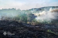19 пожеж сухої трави за добу погасили рятувальники Львівщини