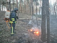 Куп'янщина: масовані ворожі обстріли спричинили дві лісові пожежі
