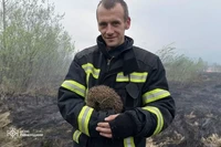 Вогнеборці врятували їжачка з палаючої сухої трави: чергове нагадування про небезпеку спалювання сухостою