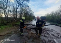 Рятувальники Кіровоградщини надавали допомогу по ліквідації наслідків негоди