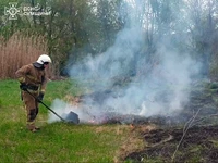 Сумська область: упродовж доби рятувальники неодноразово ліквідовували загоряння в екосистемах
