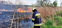 Кіровоградська область: вогнеборці загасили 7 пожеж різного характеру
