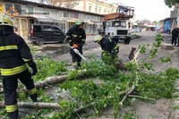 М. Дніпро: фахівці ДСНС допомогли прибрати повалене дерево