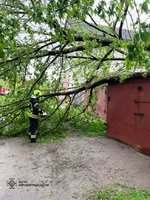 Рятувальники Кіровоградського гарнізону чотири рази розпилювали та прибирали аварійні дерева