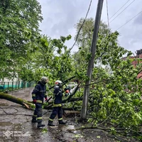 М. Чернівці: рятувальники надали допомогу у розпилюванні поваленого дерева