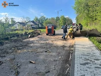 Чернівецький район: рятувальники надали допомогу у розпилюванні поваленого дерева