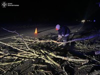 Рятувальники прибрали з автошляху повалене вітром дерево