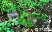 На Полтавщині поліція встановлює обставини смерті чоловіка, якого виявили у водоймі