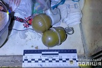 На Ужгородщині поліцейські вилучили з незаконного обігу бойові гранати