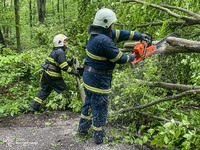 Бійці ДСНС розкряжували стовбури дерев
