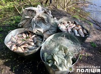 «Нерест-2024»: На Полтавщині поліцейські та екологи припинили протиправну діяльність браконьєрів в акваторії Сулинського заказника