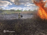 Кіровоградська область: вогнеборці загасили 7 пожеж різного характеру