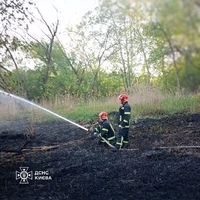 Солом'янський район: ліквідовано пожежу в екосистемі