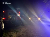 Вогнеборці ліквідували пожежу господарського комплексу в Коломийському районі