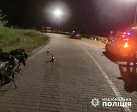 На Буковині впродовж минулої доби поліцейські задокументували дві ДТП з потерпілими