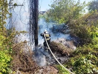 Кіровоградська область: за добу рятувальники ліквідували 5 пожеж на відкритих територіях