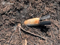 На Сумщині піротехніки ДСНС виявили та знищили 4 вибухонебезпечних предметів