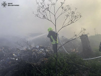 Бійці ДСНС ліквідували 6 пожеж в природних екосистемах