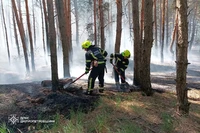 Дніпровський район: ліквідовано займання підстилки хвойного лісу