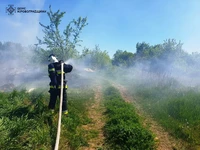 На Кіровоградщині рятувальники загасили 9 пожеж в екосистемі