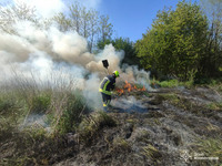 Минулої доби на Вінниччині бійці ДСНС ліквідували 7 пожеж в екосистемах