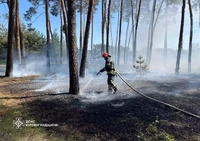 На Кіровоградщині рятувальники загасили чотири пожежі в екосистемі