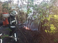 Упродовж доби рятувальники ліквідували 3 пожежі сухої трави на загальній площі 0,8 га