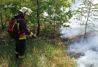 Вогнеборці ліквідували пожежі на відкритих місцевостях