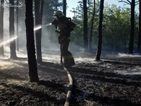 Рятувальники Миколаївщини ліквідували масштабну пожежу в лісі