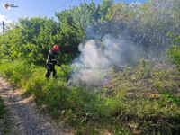 За минулу добу рятувальники ліквідували 9 пожеж в екосистемах на території Київської області