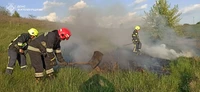 За добу вогнеборці ліквідували три пожежі в екосистемах