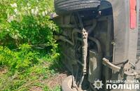 Поліція Полтавщини встановлює обставини ДТП, в якій травмовано водія позашляховика