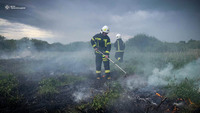 Тернопільська область: ліквдовано 3 пожежі