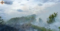 За добу на території Київщини виникла 21 пожежа в екосистемах, з них 15 – загорань трав’яного настилу та 6 – сміття.