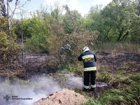 Впродовж доби, що минула, на Кіровоградщині ліквідовано 7 займань на відкритих територіях