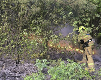 Рятувальники ліквідували загорання сухої трави та сміття