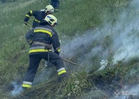 Рятувальники ліквідували 5 пожеж в природних екосистемах