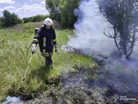 Бійці ДСНС ліквідували 3 пожежі в природних екосистемах