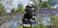 Кіровоградська область: минулої доби рятувальники загасили 6 пожеж сухої трави