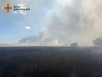 Рятувальники приборкують пожежу на відкритій території