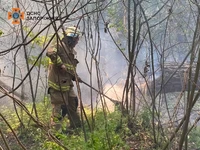 У Запоріжжі рятувальники ліквідували пожежу на відкритій території
