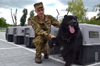 За сприяння  Хмельницької Міської ради хмельницькі гвардійці отримали контейнера для транспортування собак Bracco Travel