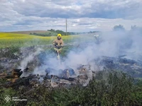За минулу добу рятувальники Рівненщини ліквідували 4 пожежі на відкритій місцевості