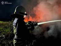 Минулої доби на Вінниччині бійці ДСНС ліквідували 6 пожеж в екосистемах
