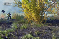 8 пожеж на відкритих територіях загальною площею 2 га ліквідували рятувальники Рівненщини впродовж минулої доби.