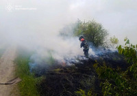 Упродовж доби вогнеборці ліквідували дві пожежі в природних екосистемах