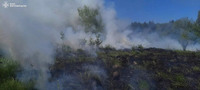 Звягельський район: упродовж доби ліквідовано три загоряння сухої рослинності